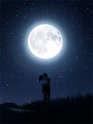 aa制纳入法律大结局