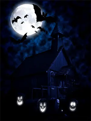 火线追凶1-10集全免费顺序